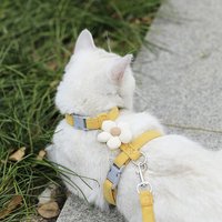 Cat Harness Leash Collar Set Adjustable Cartoon Bee Double Layer Dog Harness for Small Medium Pet Collar Leash Outdoor Walking