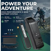 48V Lithium Battery Pack 10Ah 15Ah 20Ah Hailong Max 5Pins For Bafang BBS02 BBS03 BBSHD 1000W 750W Motor Electric Bike USB