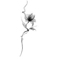 Ink Lotus Flower Art Tattoo Sticker Tatoo Sticker Temporary Tattoo Waterproof Fake Tattoo for Woman Arm Tatuajes Temporales