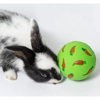 Rabbit Treat Ball Pet Slow Feeder Interactive Bunny Toy Snack Toy Ball Bite Resistant Feeding Toys Ferret Kitty Guinea Pig Cat