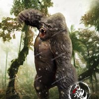 King of the Giant Ape Limited Dragon Soul Set Model