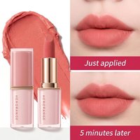 Herorange Crystal Square Tube Lipstick, Velvet Matte Lipstick, Waterproof Sweatproof Long Lasting Non-Transfer Lip Gloss