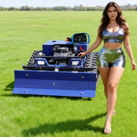 Customized Lawn Mower 550mm Cutting Width Remote Control Crawler With Snow Shovel Professional Beauty Customer Service
