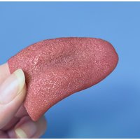 New Magic Tricks Horror Funny False Simulation Tongue Decompression Toy Halloween Prank Children Kids Magic Toy Magic Props