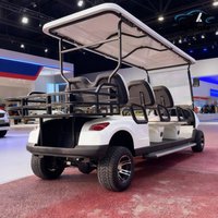 2025 New Golf Cart Model E Gas Power Golf Buggies 2 4 6 Seater 300CC 350CC Lifted Off Road Hunting Golf Cart Free Custom Color