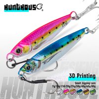 Hunthouse 2PCS 3D Printing Metal Jig Fishing Lure Sinking Slow Jigging 7g-80g Bait Saltwater Artificial SeaBass Tackle LW844