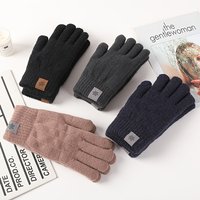 AliExpress NONE Winter Warm Gloves Men's and Women's Touchscreen Double Layer Velvet Thickened Windproof and Cold Proof Cycling Knitted Gloves