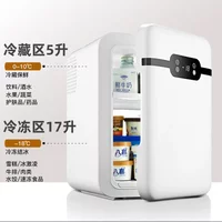 12V220V EOS Mini Fridge Portable Compact for Home Dorm Car Cooling and Freezing WWC