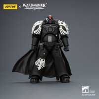 【Accessories】JOYTOY Warhammer 1/18 Action Figure Raven Guard Mor Deythan Shade with Nemesis bolt rifle Model Toy 3.75-inch