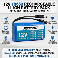 12V 10Ah-100Ah 18650 Lithium Ion Battery Pack with BMS + Charger, Multiple Capacities | Long Runtime | Safe & Reliable