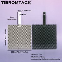 Titanium Anode Mesh Ru/Ir Coated and Uncoated Cathode Mesh, 100*100mm with Terminals for Water Treatment
