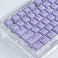 Dreamy Purple Crystal Keycap OEM Profile Characters Transparent PC Jelly Keycaps for MX Switches Mechanical Keyboard 136 Keys