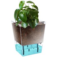 Self Watering Pots 5.9 Inch Self Watering Planter Pot Transparent Decorative Household Vase Flower Pots with Ventilation Holesl
