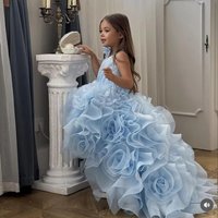 Sky Blue Flower Girl Dresses For Wedding Princess 3D Rose Tulle Skirt Litter Girl's Baby Birthday Party Prom Photo Shoot Gowns