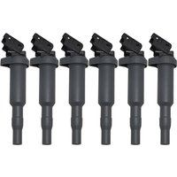 6PCS Ignition Coil For BMW 3 5 E90 E91 E60 E61 325i 525xi 2005-2010 0221504463 12137548553 12137594936 Accessories
