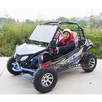 Cheap Ride On Toy Go Kart Off Road Mini Electric Kids 3000W Big Adult Two Seat Buggy