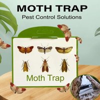 SilentKing 6PCS Moths Traps Pantry Clothes Kitchen Food Home Garden Pest Control Moth Traps Pheromone Moths Sticker Moths Trap