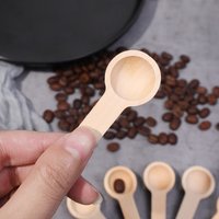 10/20/30pcs Mini Wooden Spoon Salt Spoon Capacity 1g Reusable Rounded Tip Coffee Honey Tea Sugar Salt Seasoning Spoon