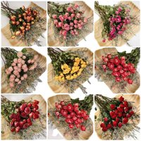 Natural Dried Rose Flower Bouquet Vintage Picnic Home Decoration Photography Props Graduation Day Gift Real Flower Arrangement