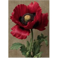 1pc 30X40CM/11.8*15.74inch flower stamped cross stitch kit DIY kit 11CT/14CT DIY Embroidered set DIY Cross-Stitch Set