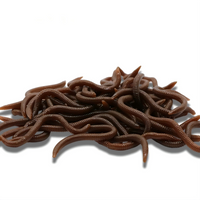 20pcs-50pcs 8cm/10cm Lifelike Red Worm Fishing Soft Lure Earthworm Lifelike Fishy Smell Red Soft Lures Simulation Earthworm Red