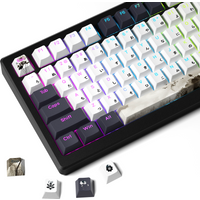 XVX Shine Through Lotus Japanese character keycaps 5-side Dye Sublimation Craft Double Shot Matte Texture PBT Keycaps 133 keys