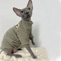 Fashion Winter High-Neck Sweater for Sphinx Cat Autumn Warm 2-legged Coat for kittens Devon Rex Thick Loungewear