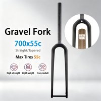 Rigid Carbon Gravel Bike Fork for 700x55C Wide Tires 12x100mm Thru Axle Disc Brake with Half Internal Cable System