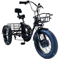 AliExpress 500W 48V Fat Tire Electric Bike 3 Wheels For Adults 7 Speed Folding Electric Bicycle 20 Inch For The Elderly With Basket