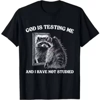 Gott prüft mich, und ich habe noch nie über Waschbären gelesen – bedrucktes Damen-T-Shirt mit kurzen Ärmeln, Rundhalsausschnitt, lustiger Aufschrift, Pullover-Design.