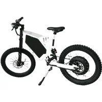 AliExpress LanYuXuan 2024 hot selling 1000w 2000w 3000w bicycle electric bicycle for men electric fa.t tire bike frame