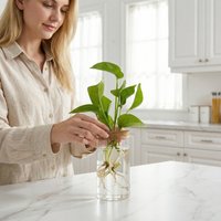 Home Office Hydroponic Plant Glass Vase Transparent Rooting Container1-4A desktop decoration ornament, green plant vase