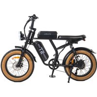AliExpress URLIFE T2 20 Inch Men's Mountain Electric Bike 500W Motor 48V 15.6AH Battery Adult E-Bicycle Sports Cycling Entertainment