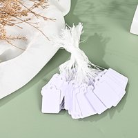 100Pcs 25*15Mm Writable Price Label Tags String Square Blank Tags Card Universal Hanging Jewelry Clothing Display Marking Label