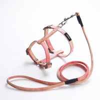 Adjustable Dog Cat Harness and Leash Set for Small Dogs Puppy Cat Supplies Pet Walking Kitten Accessories