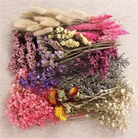 Bulk Dried Flower Material Box for Crafts Natural Pampas Grass Lavender Bouquet DIY Floral Arrangement with Hemp Rope Home Decor