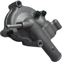 Original genuine engine water pump parts are suitable for Hisun500 700UTV ATV 19700-004-0000 P004000197000000