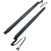AP01 Paar Elektrische Heckklappenfederung für Skoda Superb MK II 2010-2015 2.0 TDI Hinten Links & Rechts 3T0827851B 3T0827852