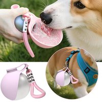 Portable 304 stainless steel with silicone bowl - Leak proof pet travel feeding set with lanyard, suitable for hiking