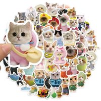 62PCS Cute Cat Cartoon Stickers Decorative Phone Cases Laptop Water Cups Computer Skateboards Waterproof Stickers