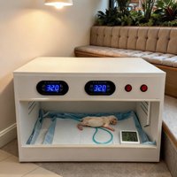 Oxygen absorption double temperature control air heating incubator, premature hairless cat and dog drying box