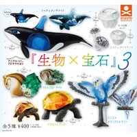 Stasto capsule toys Animal Attraction Creature Jewel 3 whale jellyfish squirrel turtle parrot miniatures Gemstone gasha figure