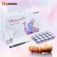 Dental Low-Temperature Staining Glaze Kit Aesthetic/ Gingiva Set Fluorescent Porcelain glaze Crown Staining
