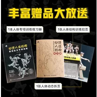 Animation Human Body Structure Expression Techniques Special Training Book Anime and Manga Human Body Drawing Tutorial Book