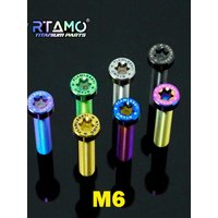 AliExpress RTAMO Gr5 Titanium Alloy Bolt M6x12/15/20/25/30/35/40/45mm for Motorcycle Bicycle Modified Screw