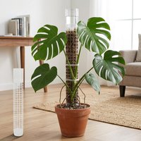 Plastic Plant Cages Supports Moss Pole Automatic Watering Continuous Moisture Pole Mesh Structure for Garden Climbing Plants
