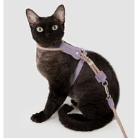 Sliding Back Adjustment Cat Harness & Leash Set, Escape Proof H-Shape Breathable Lightweight for 8kg Cat