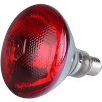 Warm 220V Breeding Heating Lamp 275w Infrared Red Light Infrared Heat Lamp Heat Bulb Pet Red Heating Lamp Chickens Coop