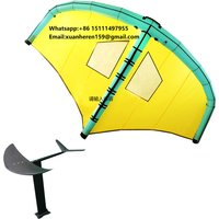 TAME BILLOW Surfing Sports Kite Surfing Kites Equipment Surf for Whole Set