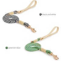 Big And Small Dog Leashes Solid Fashion Nylon Rope Durable PVC Walking Dogs And Cats Pet Collar Lead Rope New Style 2024